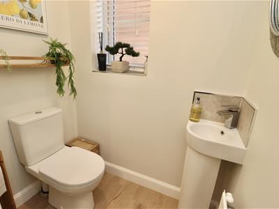Picture 23